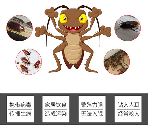 為您提供一些生活中常見的昆蟲控制技巧